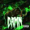 Lil Frogi - Damn (feat. OG ПареBrick & ACIXmane) - Single